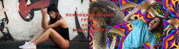 каннабис Алексин