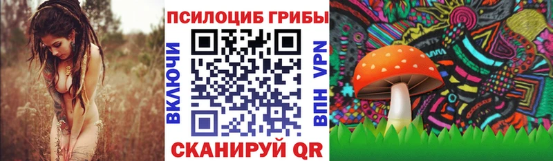 цены наркотик  Юрьев-Польский  Псилоцибиновые грибы Psilocybine cubensis 